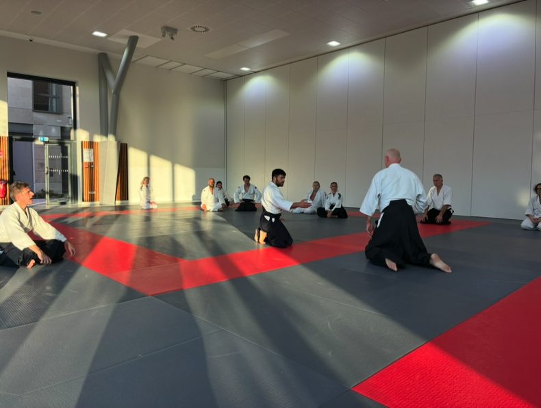 Vue du tatami pendant un stage au dojo